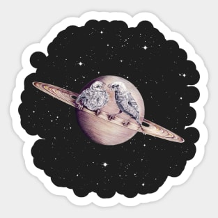 Space Sparrows Sticker